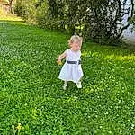 Plante, Fleur, People In Nature, Arbre, Natural Landscape, Happy, Herbe, Shrub, Grassland, Groundcover, Petal, Bambin, Pelouse, Meadow, Baby & Toddler Clothing, Flowering Plant, Agriculture, Annual Plant, Garden, Personne