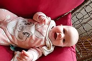 Prénom bébé Alizée
