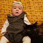 Peau, Chat, Yeux, Comfort, Carnivore, Baby & Toddler Clothing, Felidae, Textile, Sleeve, Moustaches, Small To Medium-sized Cats, Bambin, Happy, Bombay, Baby, Lap, Assis, Poil, Personne, Headwear