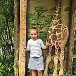 Giraffe, Brown, Giraffidae, Peau, Debout, Leaf, Terrestrial Animal, Adaptation, Baby & Toddler Clothing, Pattern, Beauty, Nature Reserve, Temple, Neck, Faon, World, Design, Personne