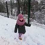 Neige, Hiver, Freezing, Playing In The Snow, Fun, Arbre, Play, Bambin, Plante, Enfant, Winter Storm, Blizzard