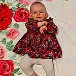 Visage, Fleur, Peau, Plante, Blanc, Dress, Green, Petal, Sleeve, Debout, Baby & Toddler Clothing, Rose, Red, Happy, Day Dress, People In Nature, Bambin, Thigh, Pattern, Rose, Personne
