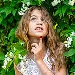 Fleur, Lip, Green, People In Nature, Plante, Leaf, Botany, Branch, Happy, Herbe, Petal, Faon, Woody Plant, Summer, Shrub, Beauty, Long Hair, Flowering Plant, Sourire, Brown Hair, Personne