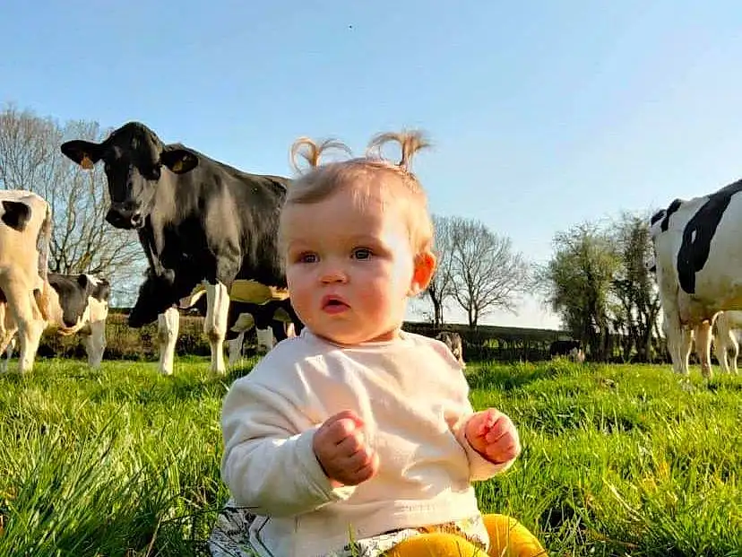 Ciel, Plante, People In Nature, Herbe, Happy, Baby & Toddler Clothing, Grassland, Arbre, Bambin, Baby, Rural Area, Meadow, Fun, Landscape, Working Animal, Prairie, Dairy Cow, Personne