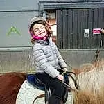 Cheval, Bridle, Rein, Horse Tack, Horse Supplies, Saddle, Horse Harness, Headgear, Bambin, Pony, Livestock, Enfant, Pack Animal, Mane, Fun, Personne, Joy
