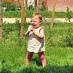 Plante, Shorts, Jambe, People In Nature, Baby & Toddler Clothing, Baby, Bambin, Herbe, T-shirt, Fence, Happy, Pelouse, Baballe, Fun, Enfant, Groundcover, Garden, Gardening, Landscape, Personne