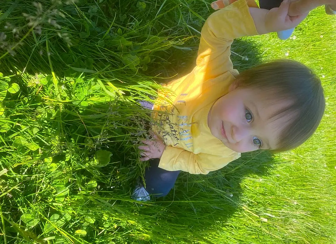Plante, People In Nature, Natural Environment, Happy, Herbe, Sunlight, Bambin, Grassland, Groundcover, Terrestrial Plant, Meadow, Sourire, Pelouse, Baby & Toddler Clothing, Enfant, Prairie, Electric Blue, Fun, Personne