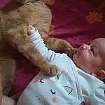 Chat, Enfant, Felidae, Peau, Nez, Small To Medium-sized Cats, Baby, Joue, Moustaches, Yeux, Chatons, Carnivore, Bambin, Faon, Poil, Colorpoint Shorthair, Oreille, Personne