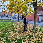 People In Nature, Plante, Leaf, Botany, Nature, Arbre, Branch, Herbe, Yellow, Sunlight, Biome, Woody Plant, Public Space, Deciduous, Road Surface, Bois, Sidewalk, Tints And Shades, Groundcover, Trunk, Personne, Joy