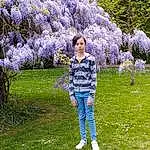Fleur, Plante, Jeans, Botany, Arbre, Woody Plant, Herbe, Groundcover, Shrub, Flowering Plant, Electric Blue, People In Nature, Grassland, Spring, Garden, Blossom, Wisteria, Leisure, Denim, Annual Plant, Personne