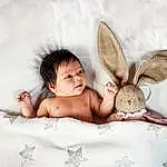 Peau, Lapin, Happy, Oreille, Flash Photography, Faon, Bambin, Baby, Hare, Moustaches, Comfort, Close-up, Rabbits And Hares, Enfant, Herbe, Poil, Fashion Accessory, Easter, Assis, Fun, Personne