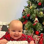 Sourire, Christmas Tree, Christmas Ornament, Plante, Happy, Holiday Ornament, Christmas Decoration, Ornament, People In Nature, Evergreen, Arbre, Baby, Bambin, Event, NoÃ«l, Christmas Eve, Herbe, Holiday, Baby & Toddler Clothing, Tradition, Personne, Joy