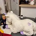 Cheval, Blanc, Purple, Mythical Creature, Jouets, Table, Stuffed Toy, Fictional Character, Room, Poil, Fun, Queue, Bambin, Peluches, Terrestrial Animal, Personne