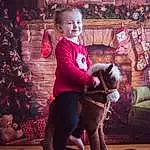 Christmas Tree, Working Animal, Rose, Happy, Bois, Faon, Lap, Thigh, Event, Magenta, Human Leg, Bambin, Knee, Enfant, Foot, Leisure, Fun, Chien de compagnie, Assis, Holiday, Personne, Joy, Under Exposed