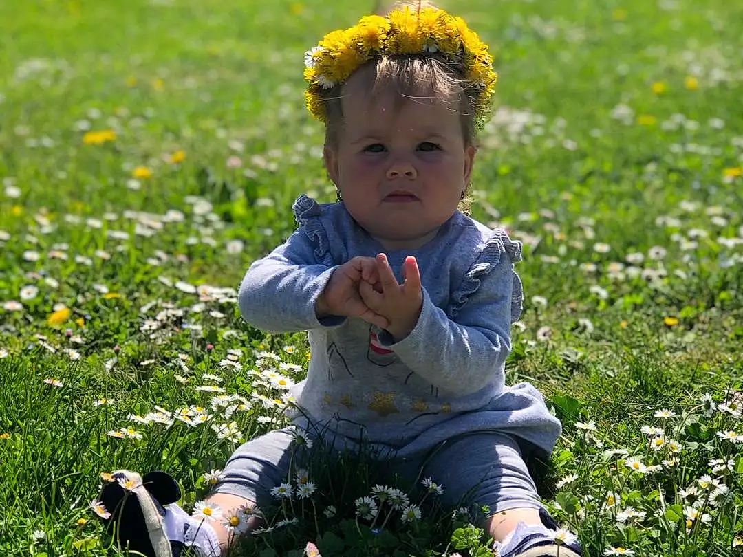 Fleur, Plante, People In Nature, Botany, Nature, Green, Happy, Baby & Toddler Clothing, Yellow, Sunlight, Herbe, Grassland, Groundcover, Meadow, Bambin, Pelouse, Enfant, Baby, Field, Personne