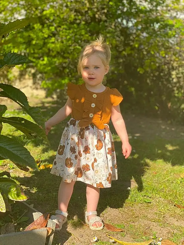 Plante, People In Nature, Leaf, Happy, Herbe, Baby & Toddler Clothing, Bambin, Tints And Shades, Day Dress, Leisure, Arbre, Sandal, Human Leg, Foot, Fun, Waist, Pattern, Garden, Brown Hair, Assis, Personne