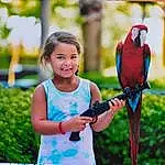 Bird, Plante, Facial Expression, Sourire, People In Nature, Happy, Macaw, Parrot, Leisure, Beak, Herbe, Summer, Recreation, Fun, Electric Blue, Enfant, Arbre, Spring, T-shirt, Vacation, Personne, Joy