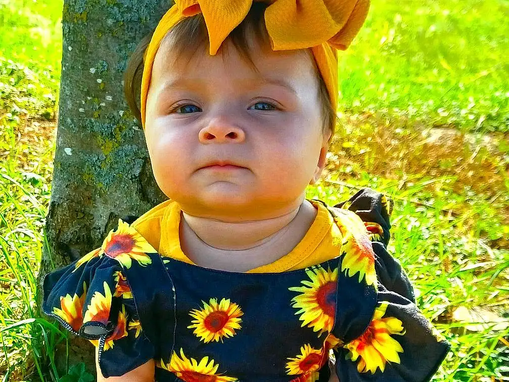 Visage, Peau, Head, VÃªtements dâ€™extÃ©rieur, Yeux, Plante, People In Nature, Botany, Baby & Toddler Clothing, Yellow, Happy, Dress, Baby, Herbe, Bambin, Arbre, Enfant, Garden, Spring, Assis, Personne