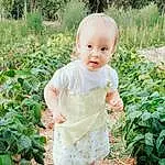 Plante, Green, People In Nature, Baby & Toddler Clothing, Sleeve, Herbe, Terrestrial Plant, Baby, Bambin, Groundcover, Garden, Happy, Shrub, Assis, Arbre, Soil, Enfant, Pattern, Flowering Plant, Personne