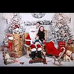 Christmas Ornament, Santa Claus, Christmas Tree, Arbre, Neige, Ornament, FenÃªtre, Christmas Decoration, Event, Holiday, Freezing, Sourire, Holiday Ornament, Hiver, Tradition, NoÃ«l, Christmas Eve, Fictional Character, Fun, Christmas Lights, Personne, Joy