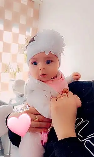 Prénom bébé Sofia