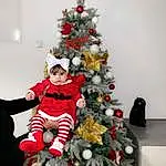 Christmas Tree, Christmas Decoration, NoÃ«l, Christmas Ornament, Holiday, Decor, Arbre, Fir, Event, Spruce, Conifer, Personne