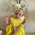 Fleur, Baby & Toddler Clothing, Gesture, Yellow, Headgear, Petal, Happy, Headpiece, Twig, Headband, Bambin, Costume Hat, Embellishment, Hair Accessory, Jewellery, Event, Flower Arranging, Fashion Accessory, Baby, Cut Flowers, Personne