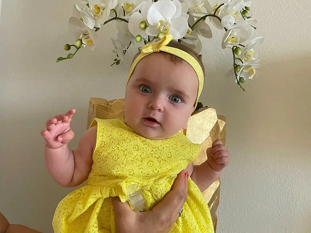 Fleur, Baby & Toddler Clothing, Gesture, Yellow, Headgear, Petal, Happy, Headpiece, Twig, Headband, Bambin, Costume Hat, Embellishment, Hair Accessory, Jewellery, Event, Flower Arranging, Fashion Accessory, Baby, Cut Flowers, Personne